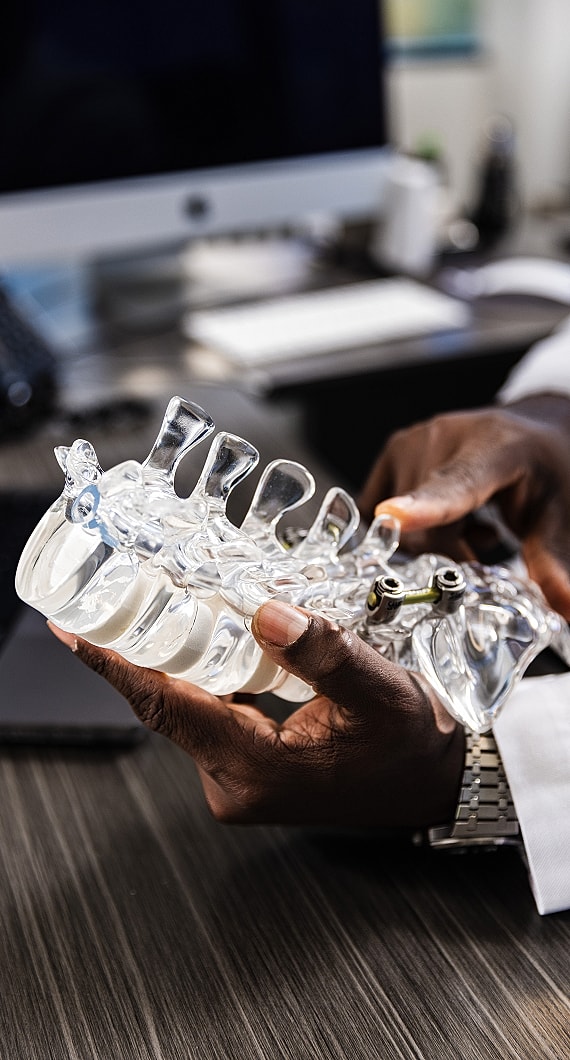 Hand holding a transparent spine model.