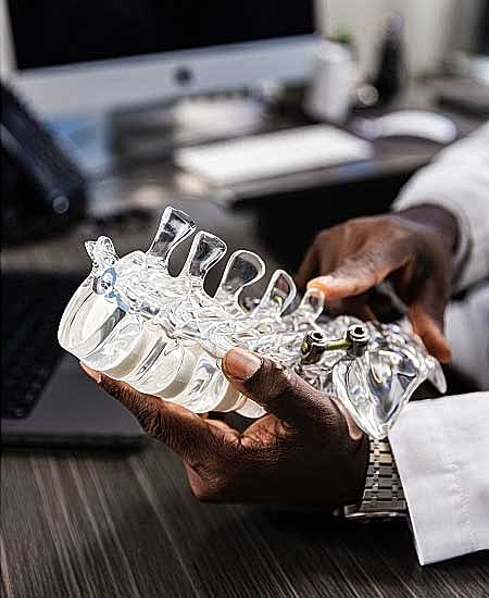 Hand holding a model of the human spine